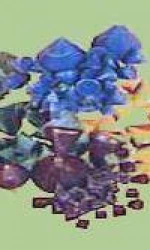 Chip abrasivo para polimento Chip abrasivo para polimento